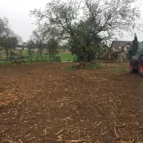 Karczowanie, czyszczenie, działek, wycinka, drzew, frezowanie, pni,