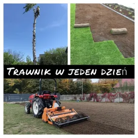 KONKURENCYJNE CENY Usługi glebogryzarką separacyjną Wycinka Równanie