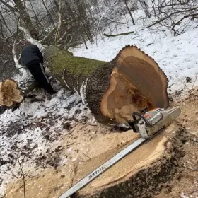 Wycinka, Cięcie i Łupanie drewna. Usługi Ogrodnicze Wywóz złomu.