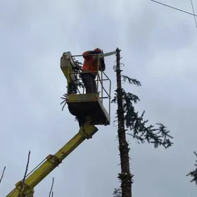 Wycinanie, skracanie drzew, rozdrabnianie gałęzi, frezowanie pni.