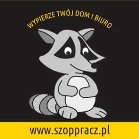 Pranie kanap, foteli, wykładzin...