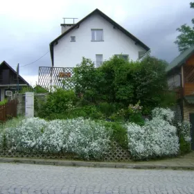 noclegi Tylicz k/Krynicy-Zdroju