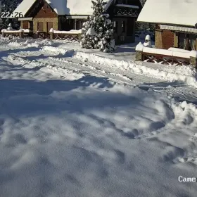 Domy na Święta Bożego Narodzenia